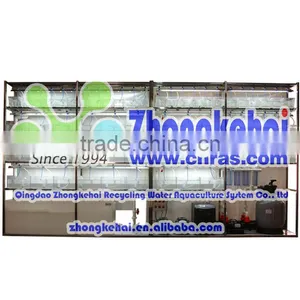Zebra Fish and Amphioxus for Aquaculture System thumbnail-4