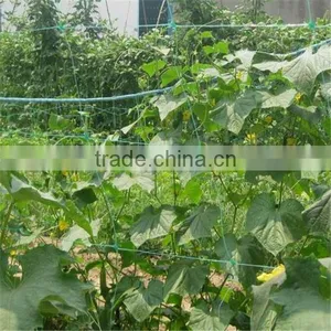 Agriculture Plant Support Net, Agriculture Climbing Plant Net thumbnail-1