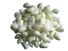 OULENO Small Garlic Ginger Garlic Mashed Garlic Machine Machine Cutter Small Household Cooking Machine Qiecai Mashed Garlic Saus thumbnail-4