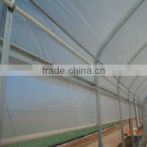 Used Greenhouses Single Span Plastic Film Tunnel Greenhouse for Sale thumbnail-2