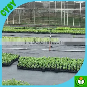 Temporary Used Anti Root Mat Recycled pp Plastic Weed Mat,cheap Ground Cover Fabric,black Weed Control Cloth With Green Stripe thumbnail-3