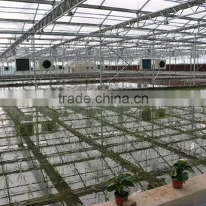 Commercial Greenhouse thumbnail-3