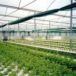 Hydroponic Used for Styrofoam Greenhouse thumbnail-1