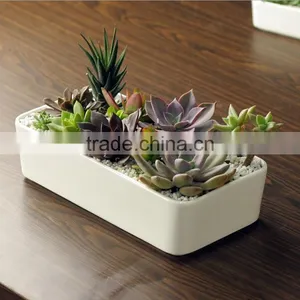 Home Desktop Decorative White Rectangular Ceramic Planter thumbnail-1