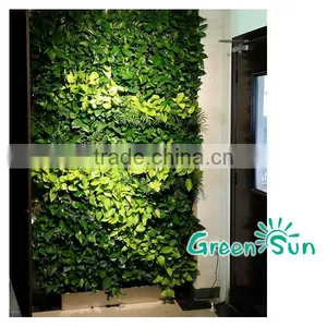 Green Field Living Wall Growing Systems/Interiorscaping Living Wall,green Wall System,vertical Garden Living Wall thumbnail-3