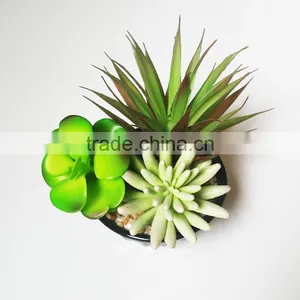 Small Artificial Succulent Plants for Indoor Shopping Mall Decoration thumbnail-1