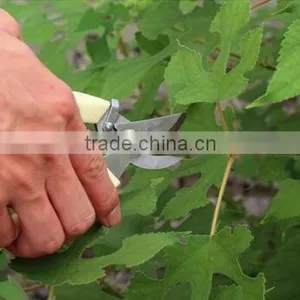 T130 By-Pass Pruners thumbnail-4