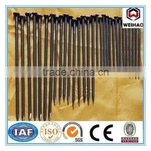 High Quality Common Round Iron Nails/Common Wire Nail thumbnail-1