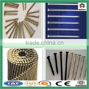 China Iso Factory Good Quality Construction Hot Sale Common Wire Nail thumbnail-3