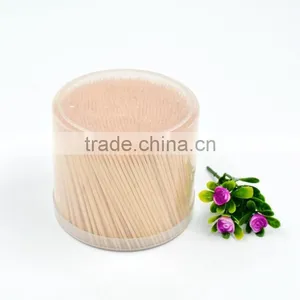 TH-055 Wholesale Plasitc Big Bootle Wrappped Disposable Toothpick in Bulk thumbnail-1