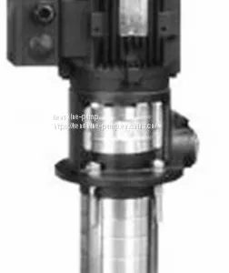 CDLK Immersible Multistage Centrifugal Pump thumbnail-4