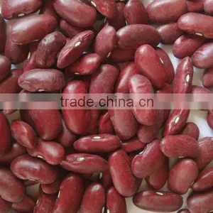 Organic Kidney Bean thumbnail-1