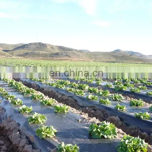 Agriculture Biodegradable Plastic Weed Control Mat thumbnail-1