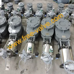 DSCN4420 Pneumatic metal seated double disc gate valve