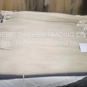 Mongolia Horse Tail Hair thumbnail-1