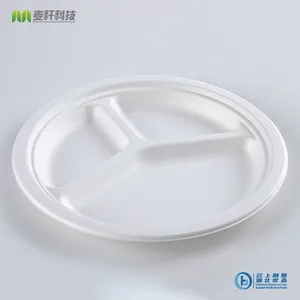 Disposable Biodegradable 10 INCH 3C PLATE Take Away Sugarcane thumbnail-1