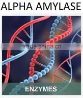 Alpha Amylase For Bread Improvers thumbnail-1