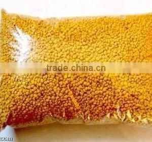Tea Pollen/bee Product/bee Pollen thumbnail-1