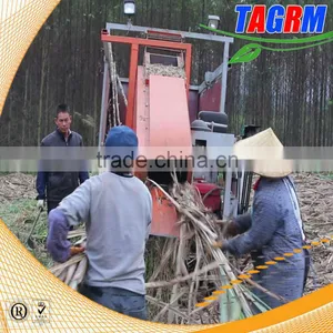 New Condition Brand Product 6BCT-5 Sugarcane Leaf Machine Sugarcane Peeling Machine thumbnail-3