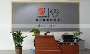 Shenzhen DLS Hardware Co., Ltd. company overview - view 2 thumbnail