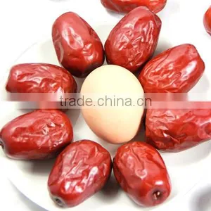 Big Size Dried Jujube Fruit thumbnail-2