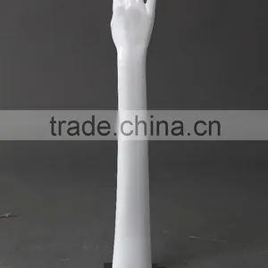 Hands Mannequin thumbnail-5