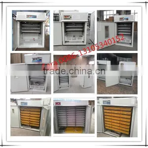 ZH-5280 Egg Incubator With 3 Years Warranty for Sale thumbnail-3