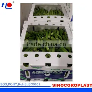 PP Vegetables Crates thumbnail-4