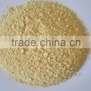 Factory Supply High Quality Ginger Extrac Flakes/powder With Low Price thumbnail-4