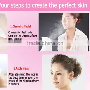 Personal Ionic Spa Facial Steamer, Spa Facial Equipment For Skin Care, Face Steaming Machine thumbnail-3