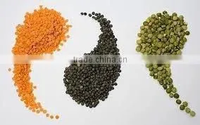 Lentils thumbnail-3