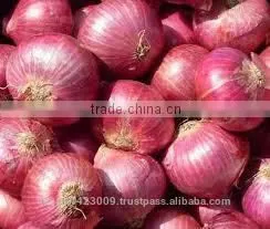 Fresh Onion thumbnail-3