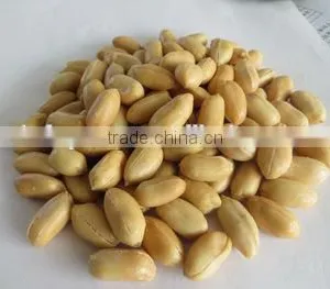 150/185g/227g Fried Peanut in Bags/canned From China ,best Price thumbnail-3