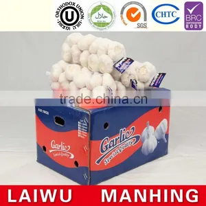 Red Fresh Garlic Supplier thumbnail-6