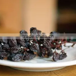INDUSTRIAL RAISIN OF NEW CROP FOR SELL thumbnail-6