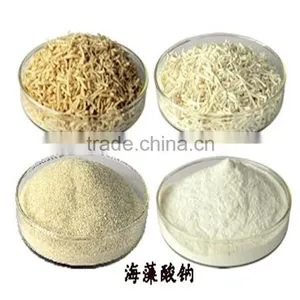 High Quality Sodium Alginate Food Grade CAS NO.:9005-38-3 thumbnail-1