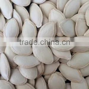 Inner Mongolia Shine Skin Pumpkin Seeds in Shell thumbnail-2