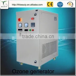 Industrial Portable Ozone Generator Ozone Sterilizer for Swimming Pool thumbnail-1