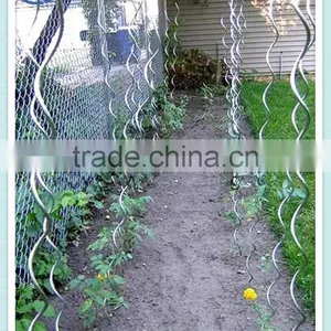 Grape Plant Growing Vegetable Support Spiral Wire thumbnail-6