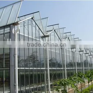 Large Commercial Glass Greenhouseglass/ Agricultural Greenhouses/Glass Venlo Greenhouse thumbnail-2