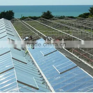 Large Commercial Glass Greenhouseglass/ Agricultural Greenhouses/Glass Venlo Greenhouse thumbnail-3