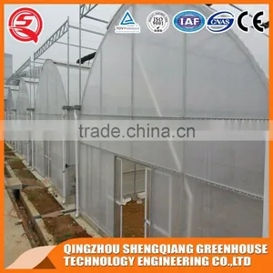 China Supplier 9.6m Multi-span Plastic Agriculture Greenhouse for Sale thumbnail-1
