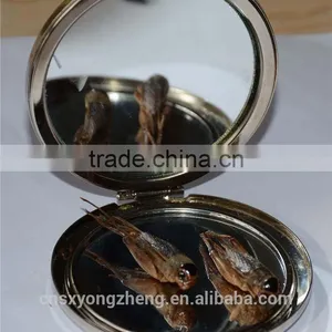 Pet Food Fish Food Freeze Dried Crickets thumbnail-6