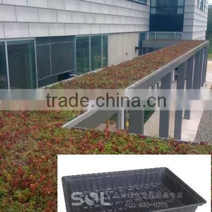 2014 Roof Greening on Building Vertical Garden thumbnail-1