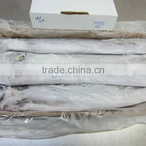 Frozen Belt Fish thumbnail-1