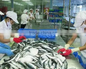Viet Seafood And Agricultural Products Company Limited company overview - view 1 thumbnail