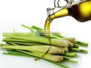 Lemon Grass Oil thumbnail-4