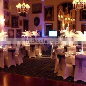 Party Decorative Artificial Ostrich Feathers thumbnail-1