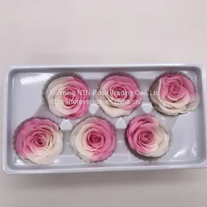 Preserved Rose Preserved Flowers Dried Flowers Birthday Valentine Party Wedding thumbnail-1