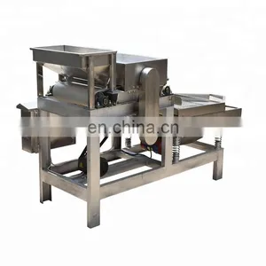 Straight Knife Nut Chopper Crushing Machine Almond Chestnut Cutting Machine Peanut Chopping Machine thumbnail-2